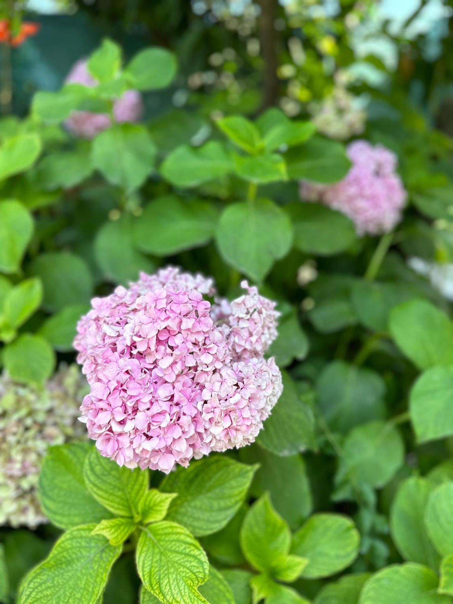 Flower'S Home Orikum Bagian luar foto